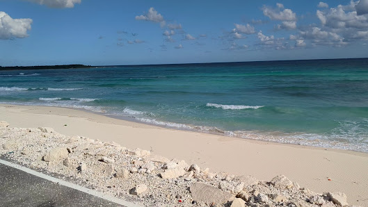 Best Bikes Cozumel thumb 3